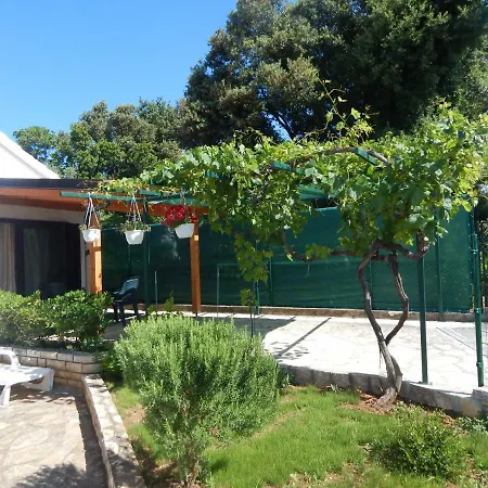 Duje Apartment Petrcane