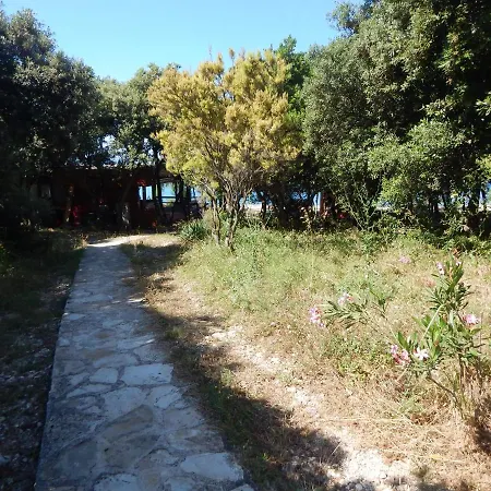 Apartment Duje *