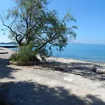Duje * Petrcane