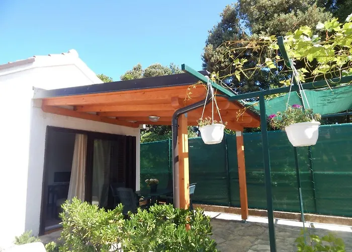 Duje * 돈제페트레케인