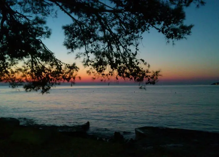 Апартаменты Duje Петрчане