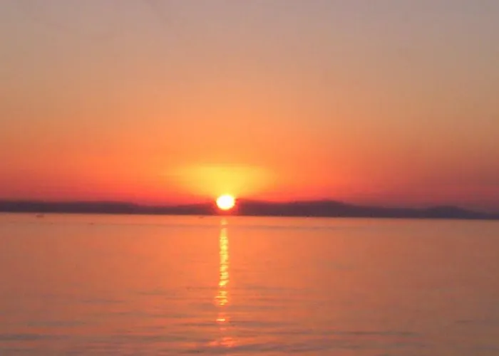 Duje 돈제페트레케인