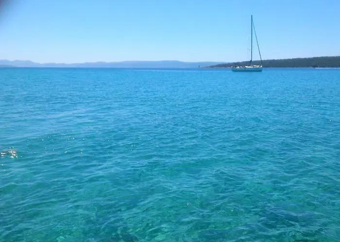 Duje 돈제페트레케인