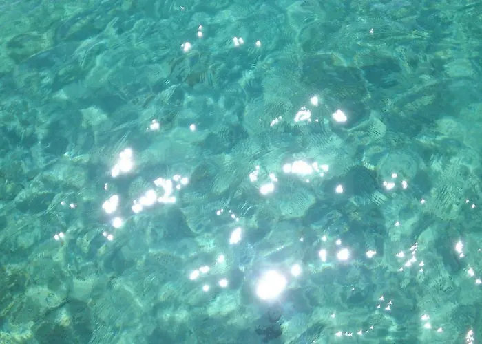 Duje * 돈제페트레케인