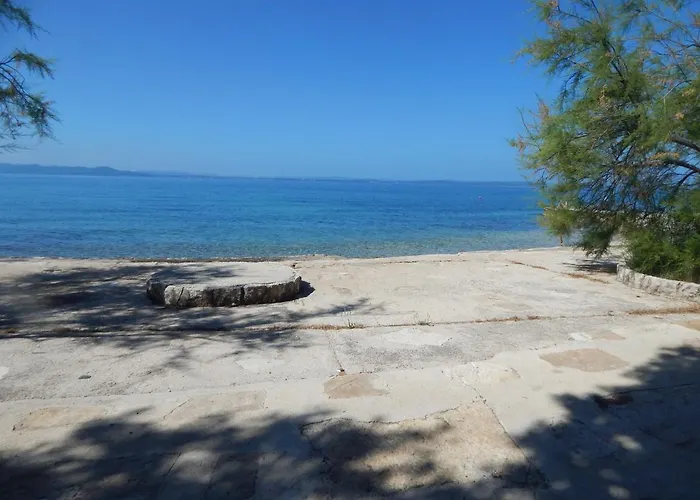 Duje * Петрчане