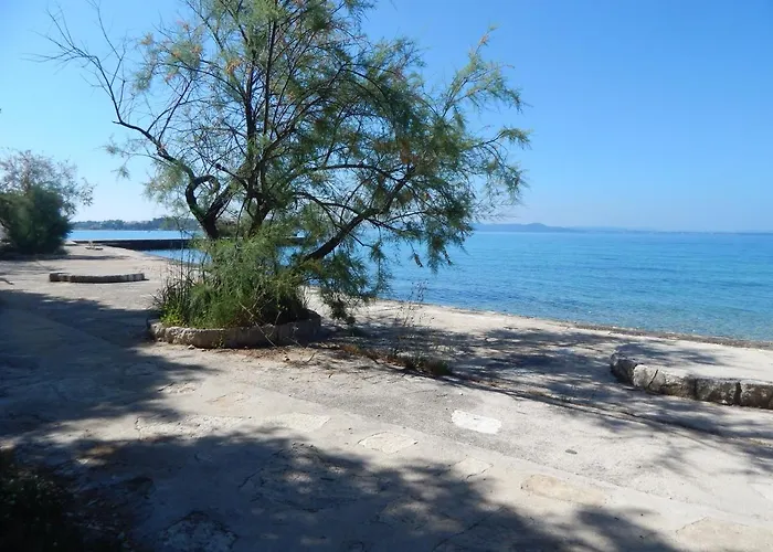 Duje * 돈제페트레케인